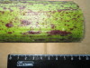 Thumbnail IMG_2572.JPG 