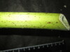 Thumbnail IMG_2578.JPG 