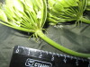 Thumbnail IMG_2583.JPG 