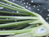 Thumbnail IMG_2587.JPG 
