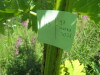 Thumbnail IMG_8090.JPG 