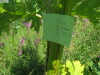 Thumbnail IMG_8091.JPG 