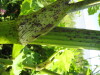 Thumbnail IMG_8103.JPG 