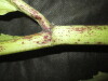 Thumbnail IMG_2998.JPG 