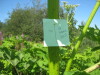 Thumbnail IMG_8104.JPG 