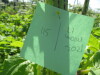 Thumbnail IMG_8119.JPG 