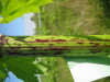 Thumbnail IMG_8128.JPG 