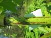 Thumbnail IMG_8129.JPG 