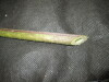 Thumbnail IMG_1992.JPG 