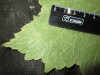 Thumbnail IMG_1998.JPG 
