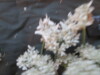 Thumbnail IMG_2002.JPG 