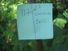 Thumbnail IMG_8147.JPG 