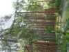 Thumbnail IMG_8151.JPG 