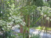 Thumbnail IMG_8158.JPG 