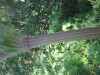 Thumbnail IMG_8164.JPG 