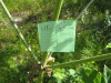 Thumbnail IMG_8165.JPG 