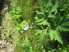 Thumbnail IMG_8166.JPG 