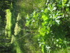 Thumbnail IMG_8173.JPG 