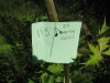 Thumbnail IMG_8183.JPG 
