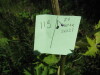 Thumbnail IMG_8184.JPG 