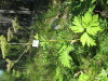 Thumbnail IMG_8187.JPG 