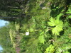 Thumbnail IMG_8188.JPG 