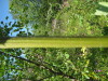 Thumbnail IMG_8200.JPG 
