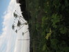 Thumbnail IMG_0601.JPG 