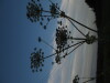 Thumbnail IMG_0620.JPG 
