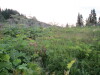 Thumbnail IMG_0628.JPG 