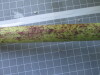 Thumbnail IMG_0643.JPG 