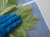 Thumbnail IMG_0649.JPG 
