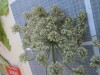 Thumbnail IMG_0658.JPG 
