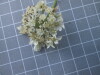 Thumbnail IMG_0663.JPG 