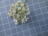 Thumbnail IMG_0664.JPG 