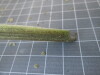 Thumbnail IMG_0681.JPG 