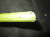 Thumbnail IMG_1835.JPG 