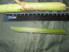 Thumbnail IMG_1850.JPG 