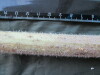 Thumbnail IMG_1874.JPG 