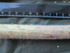 Thumbnail IMG_1875.JPG 