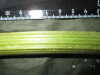 Thumbnail IMG_1877.JPG 