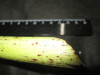Thumbnail IMG_1882.JPG 