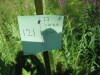 Thumbnail IMG_8222.JPG 