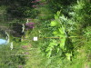 Thumbnail IMG_8226.JPG 
