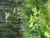 Thumbnail IMG_8228.JPG 
