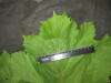 Thumbnail IMG_3234.JPG 