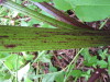 Thumbnail IMG_8256.JPG 