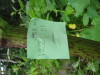Thumbnail IMG_8257.JPG 