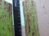 Thumbnail IMG_3129.JPG 
