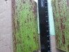 Thumbnail IMG_3130.JPG 